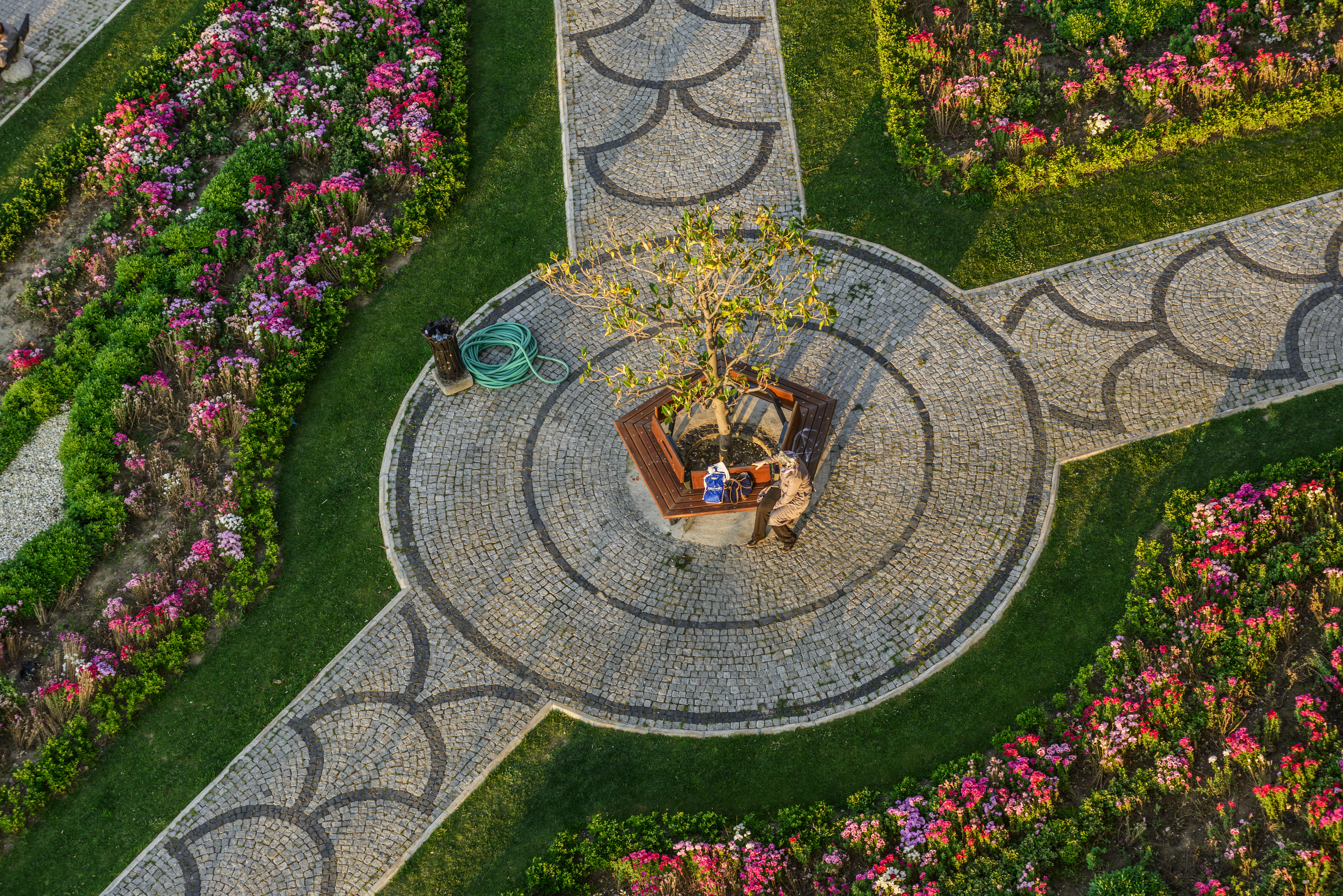 Landscaping Work